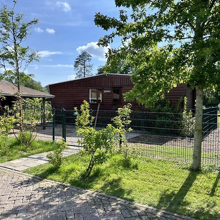 Zuid-Scharwoude Vrijstaand Chalet Met Veel Buitenruimte En Veranda מראה חיצוני תמונה